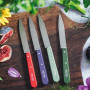 Coffret 4 couteaux d'office Paysage, Opinel