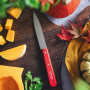 Coffret 4 couteaux d'office Paysage, Opinel
