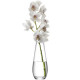 Vase "Flower" pour longues tiges, LSA