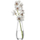 Vase "Flower" pour longues tiges, LSA