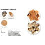 Simplissime les Recettes de Bretagne, Hachette cuisine
