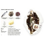 Simplissime les Recettes de Bretagne, Hachette cuisine