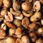 Cacahuètes à la Truffe Noire, Artisan de la Truffe