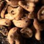 Noix de Cajou à la Truffe Noire, Artisan de la Truffe