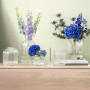 Vase Transparent Fleur, Villeroy & Boch