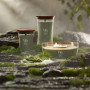 Bougie parfumée Ellipse Brume Éthérée, Woodwick