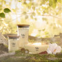 Bougie parfumée Brume Solaire, Woodwick