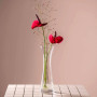 Vase Solifleur 25 cm GIA, Léonardo