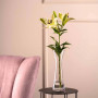 Vase Solifleur 25 cm GIA, Léonardo