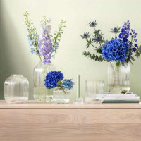 Vase Transparent Fleur, Villeroy & Boch