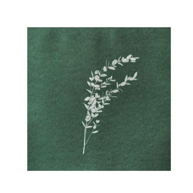 Serviettes en papier Eucalyptus, Françoise PAVIOT