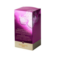 Infusion glacée Passion Framboise en sachets, Dammann Frères