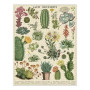 Puzzle 1000 pièces Succulents, Cavallini & Co