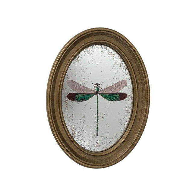 Déco murale encadrée Libellule , Emdé