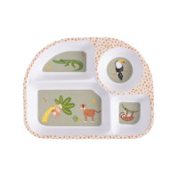 Assiette compartimentée, Ladelle