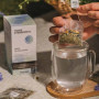 Tisane d'Herboriste Brise de Printemps Bio, Horae