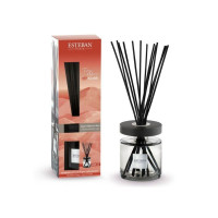 Bouquet parfumé Ellipse Terre d'Ocre Karité, Estéban