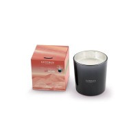 Bougie parfumée 450g Terre d'Ocre Karité, Esteban
