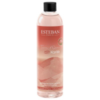 Recharge de bouquet parfumé 250 ml Terre d'Ocre Karité, Estéban