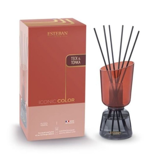 Bouquet parfumé Iconic Color 250 ml Teck & Tonka, Estéban