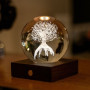 Boule Lumineuse Arbre de Vie, Gingko