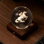 Boule Lumineuse Équitation, Gingko