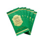 Thé vert Noël en Laponie 6 sachets, Dammann Frères