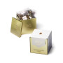 Thé blanc Christmas Tea Blanc en sachets, Dammann Frères
