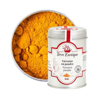 Curcuma en Poudre, Terre Exotique