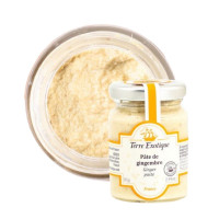 Pâte de Gingembre, Terre Exotique