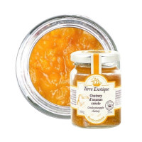 Chutney d'Ananas Créole, Terre Exotique Chutney d'Ananas Créole, Terre Exotique
