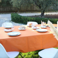 Nappe enduite Burnt Orange Frejus, Sud Etoffe
