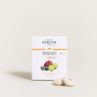 2 recharges diffuseur voiture Envolée d'agrumes, Maison Berger