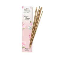 Encens indiens Fleur de Cerisier, Estéban