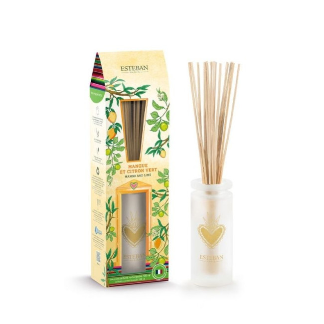 Bouquet parfumé Mangue et Citron vert, Esteban