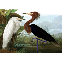 Puzzle de 1000 pièces Hérons, Kiub