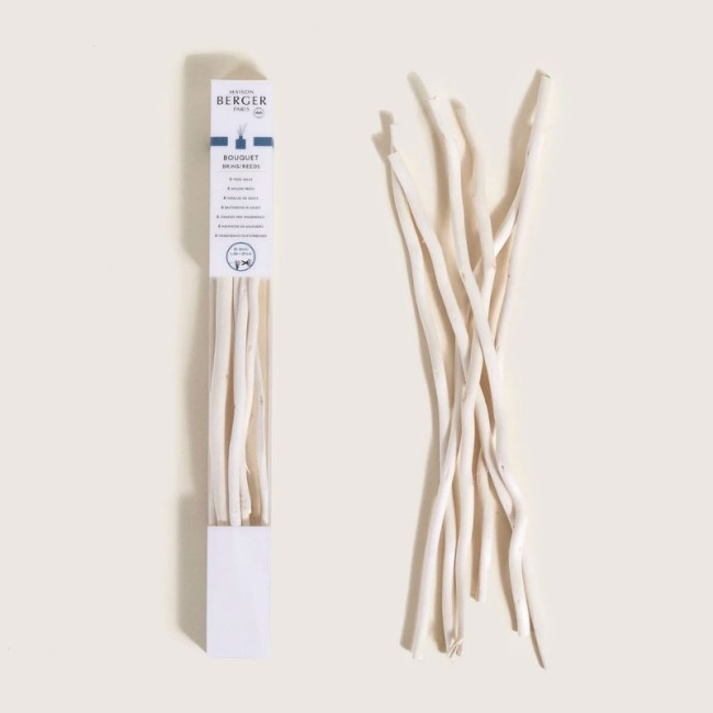 Etui 6 brins en saule 24 cm pour bouquet parfumé Aroma, Maison Berger