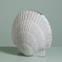 Vase blanc Pecten, Chehoma