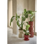 Cache Pot 27 cm Mimea Rouge, Pomax