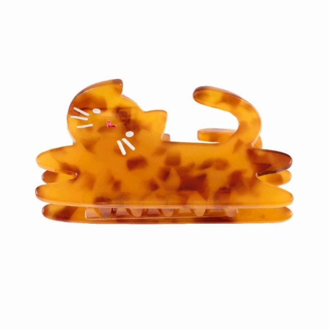 Pince à Cheveux Chat Roux, Derrière la porte