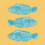 Serviettes en papier Poisson Lumineux, Françoise PAVIOT