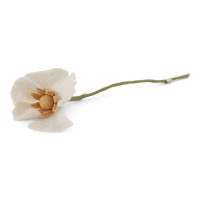 Fleur Coquelicot, Gry & Sif