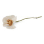 Fleur Coquelicot, Gry & Sif