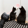 Pointeur Laser pour Chat, Kikkerland