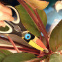 Ciseaux de cuisine Toucan, Kikkerland