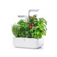 Potager d'intérieur Smart, Véritable