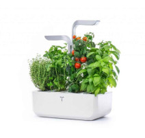 Potager Smart, Véritable