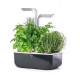 Potager Smart, Véritable
