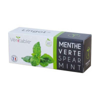 Lingot® menthe verte BIO, Véritable