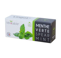 Lingot® menthe verte BIO, Véritable